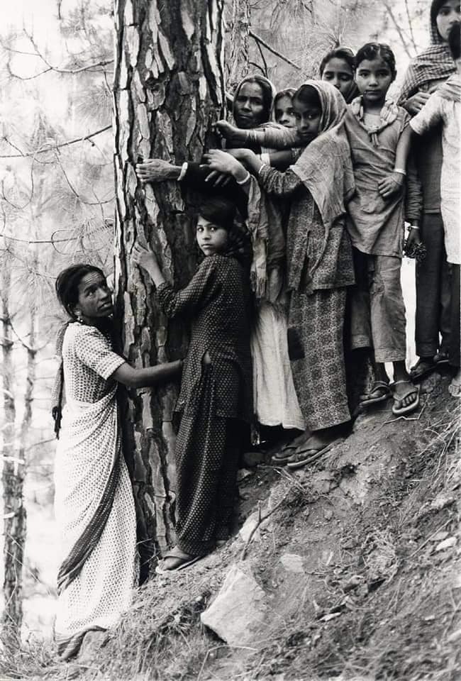 chipko movement