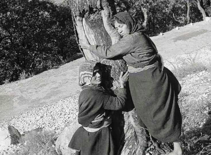 chipko movement