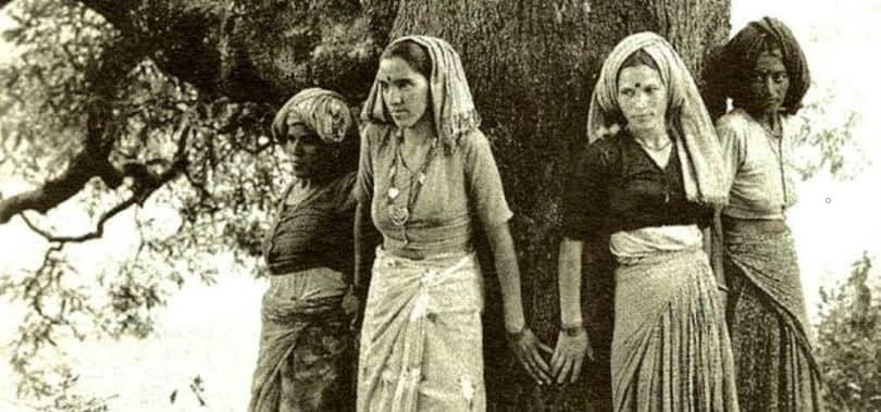 chipko movement