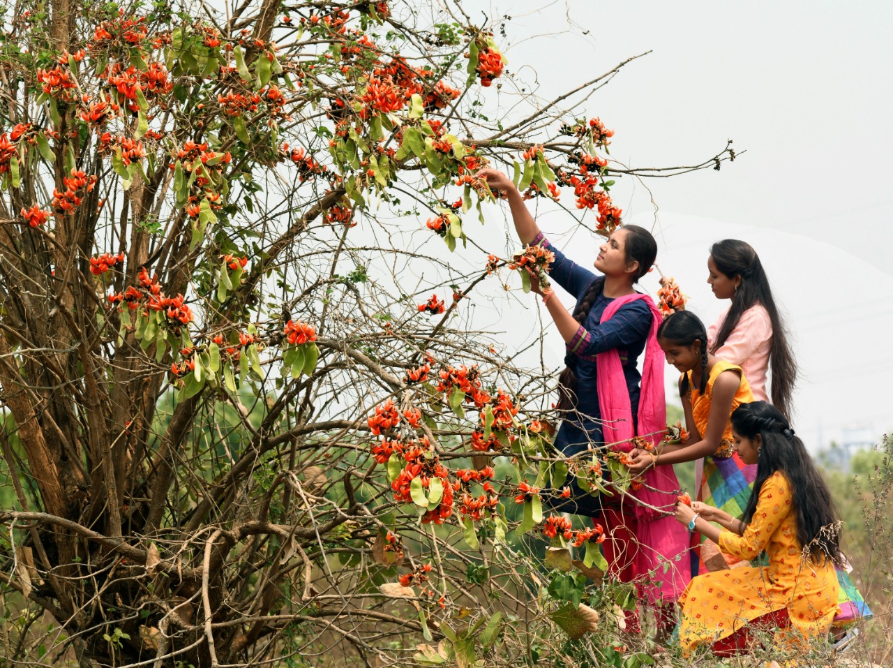 natural colours for holi, holi festival 2021