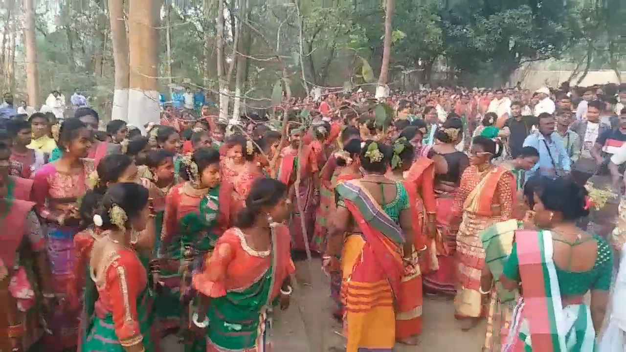 major-festival-of-santhal-tribals-dishom-baha-in-jharkhand-celebrated