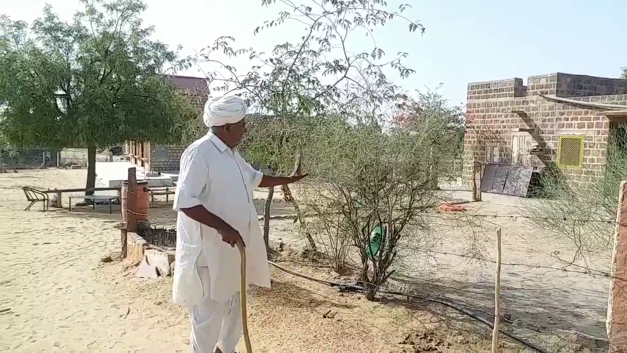 Jodhpur Ranaram Vishnoi,  Tree man ranaram vishnoi,  Ranaram Vishnoi's love for the environment