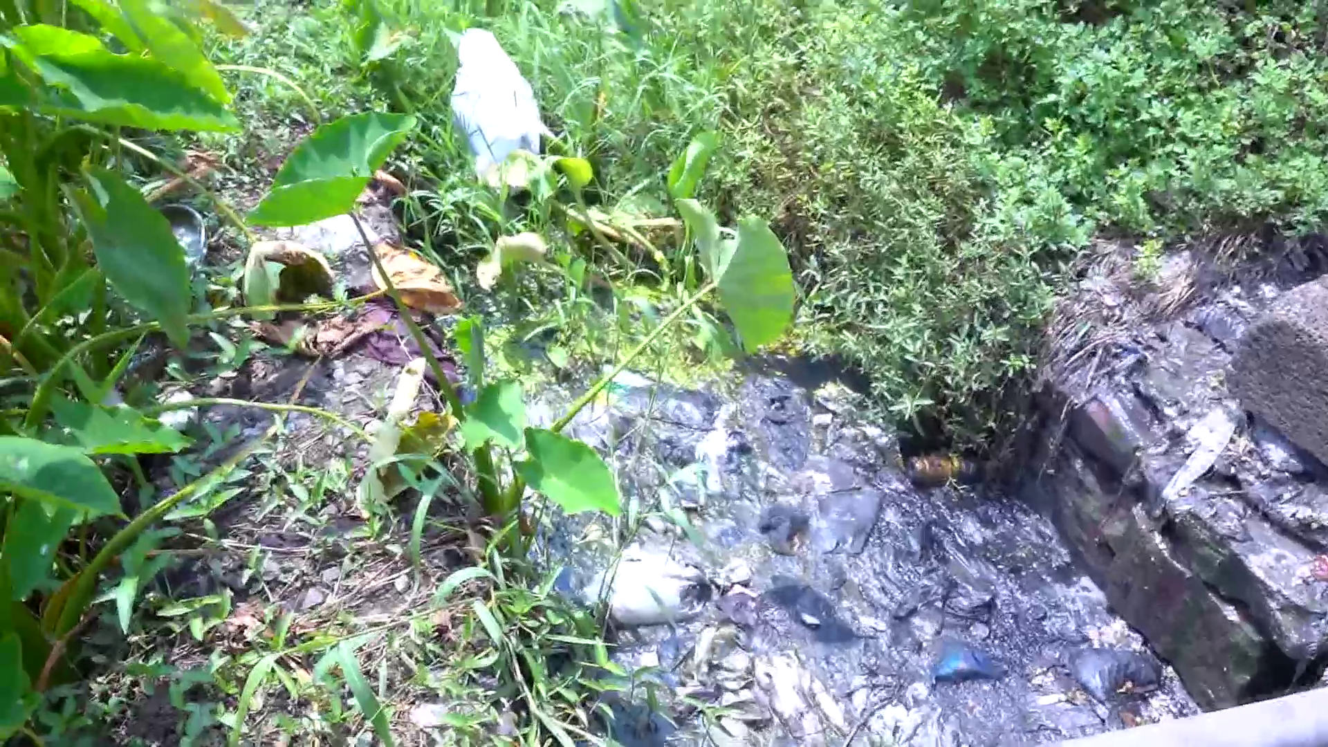 Waste problem in Kannur and Parappuram areas  pollution  water pollution  periyar pollution  മാലിന്യ പ്രശ്നം  പെരിയാർ മലിനീകരണം  മലിനീകരണ നിയന്ത്രണ വകുപ്പ്