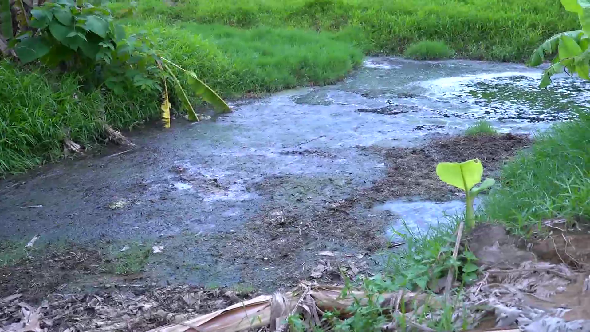 Waste problem in Kannur and Parappuram areas  pollution  water pollution  periyar pollution  മാലിന്യ പ്രശ്നം  പെരിയാർ മലിനീകരണം  മലിനീകരണ നിയന്ത്രണ വകുപ്പ്