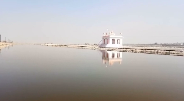 Sambhar Lake Jaipur,  Migratory Bird Sambar Lake,  Environmental pollution flamingo sambar