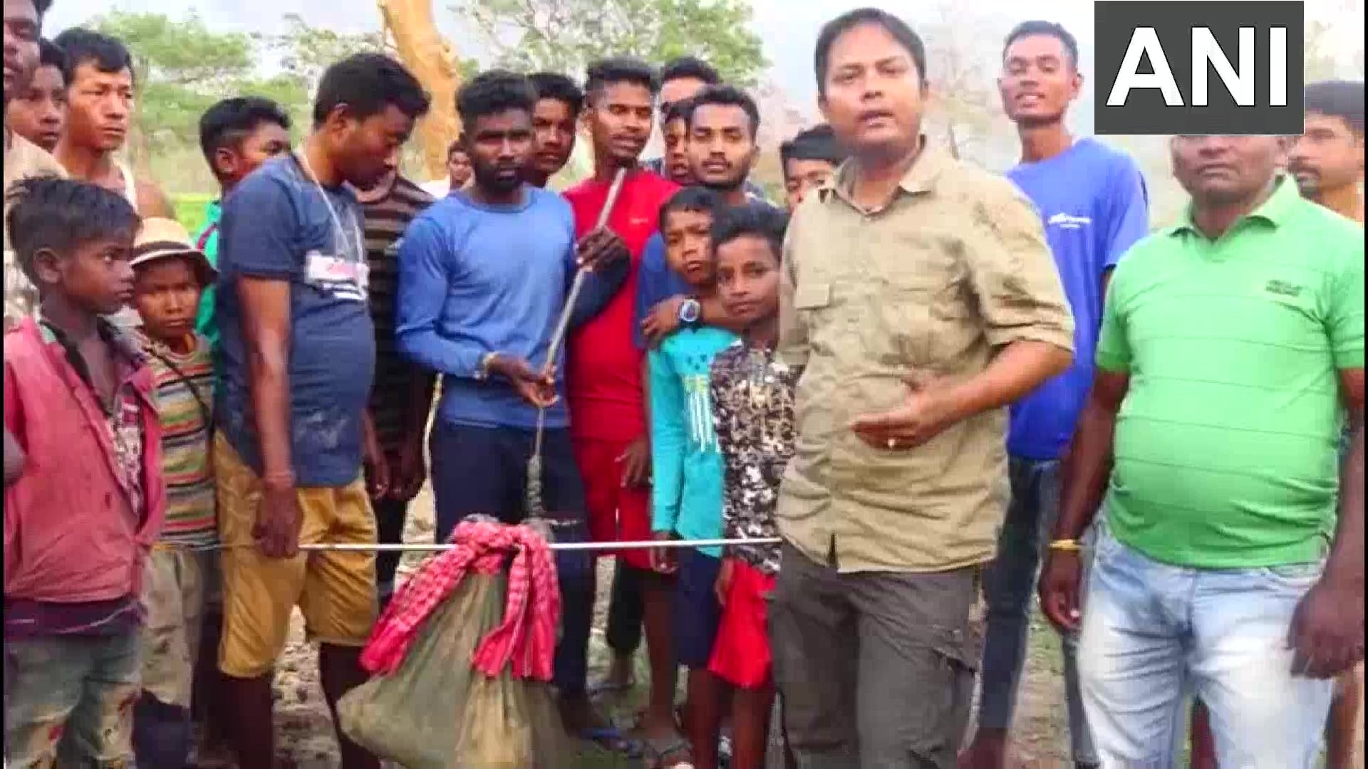 Cobra was rescued at a tea estate in assom