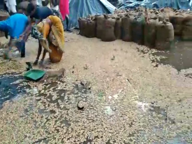 Heavy rain at Yadgir District