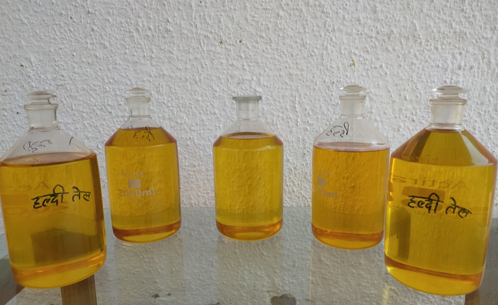 aromatic-turmeric-oil-extracted-from-dried-turmeric-leaves-in-baikunthpur-of-koriya