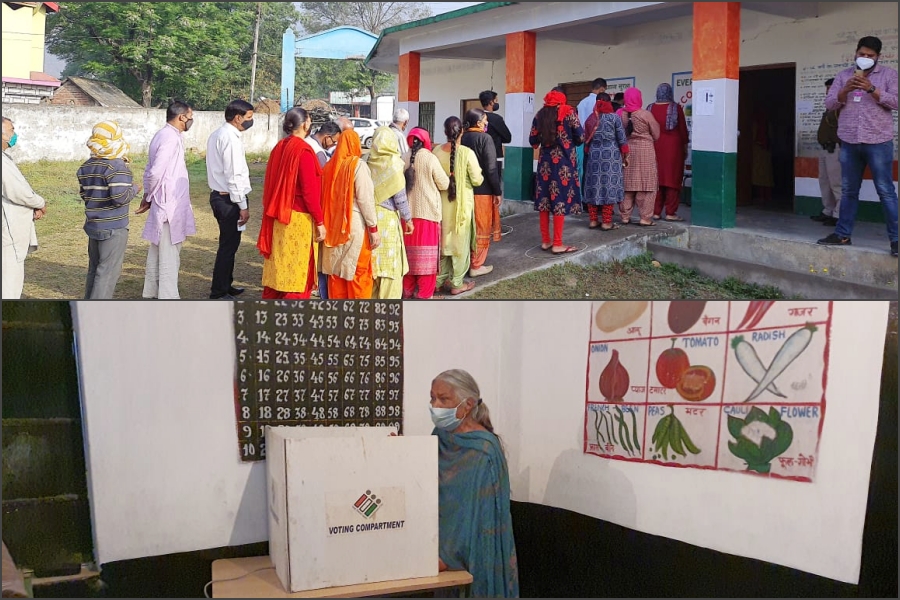 municipal election in himachal