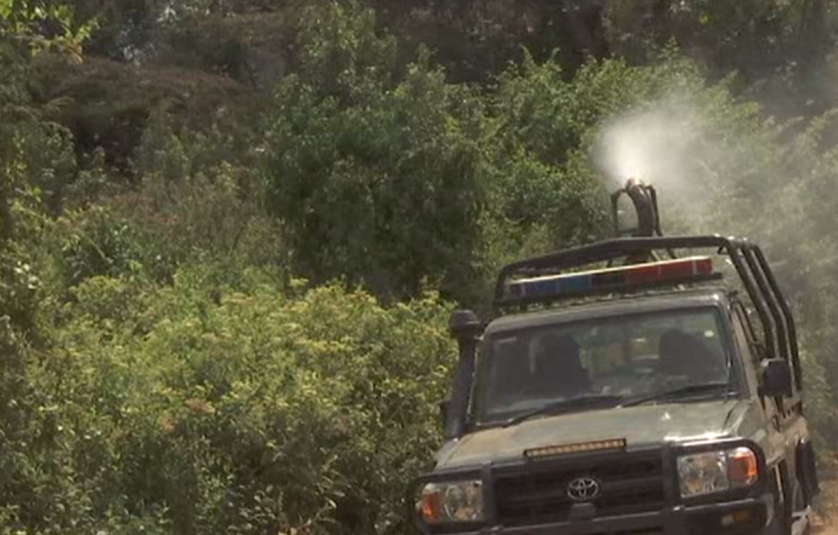 locusts attack in kenya, ఆఫ్రికాలో మిడతల దాడులు