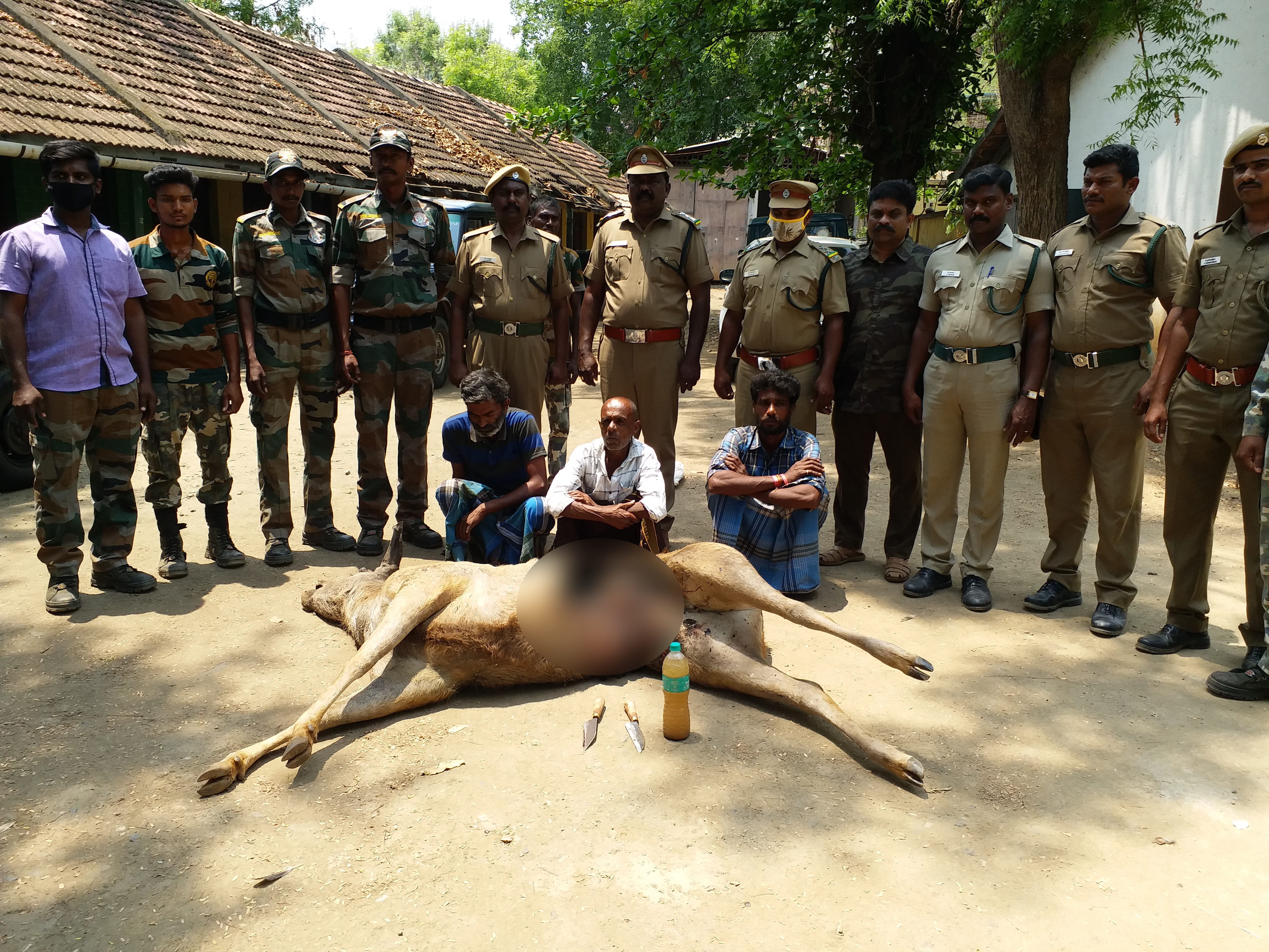 கடமானை கொன்ற வழக்கில் மூன்று கைது