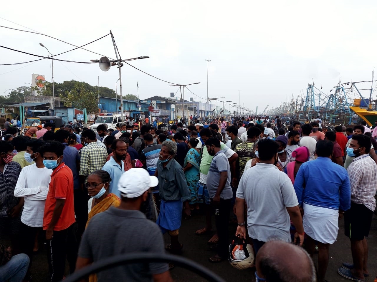 kasimedu fish market