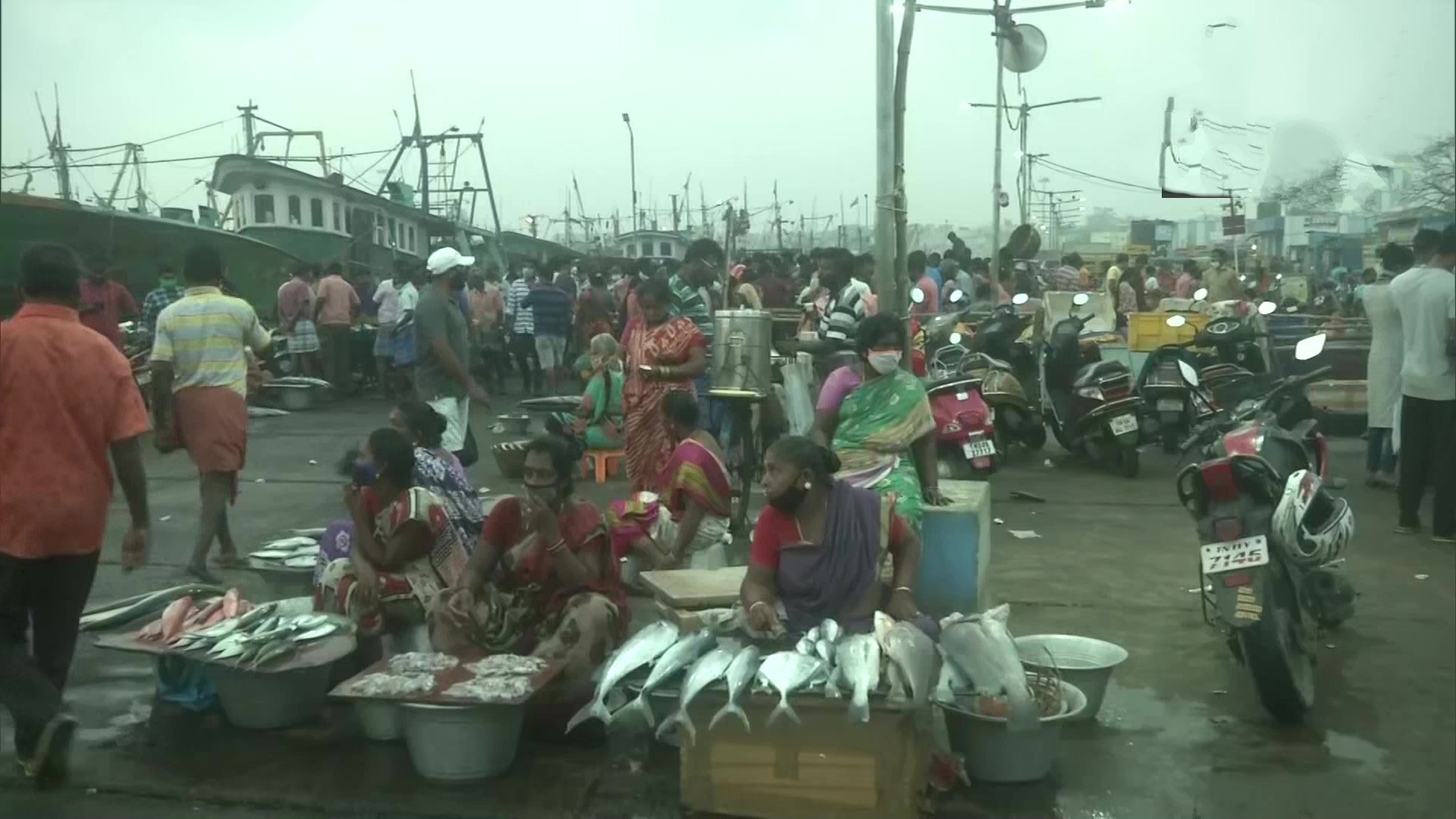 kasimedu fish market