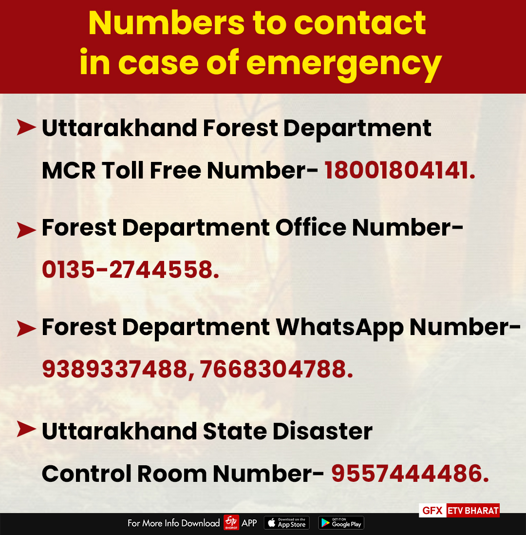 Emergency Contact Numbers