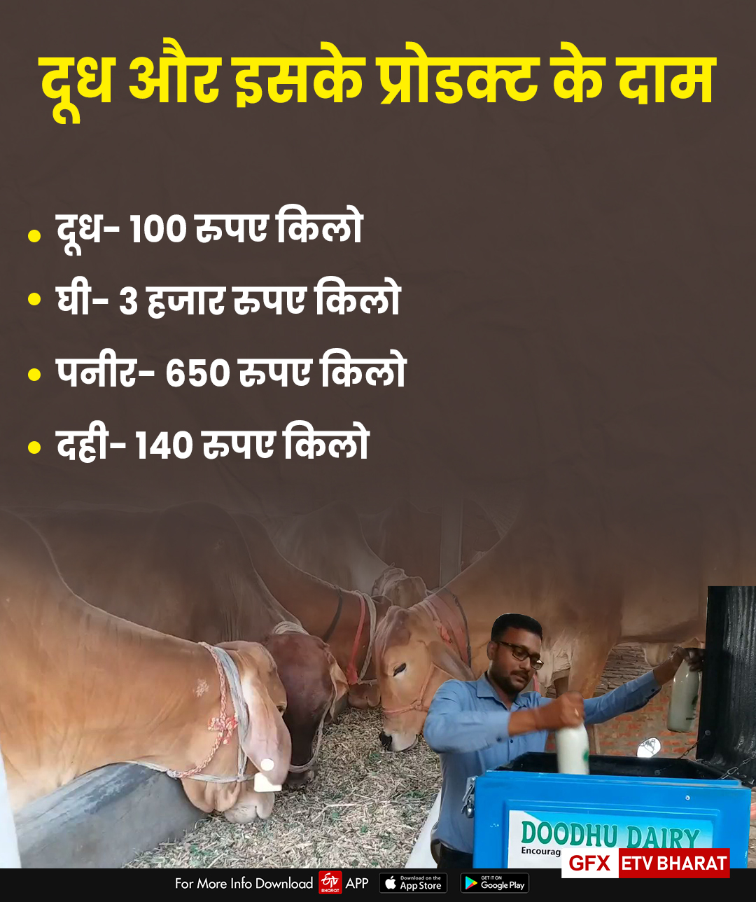 a 2 cow milk production in darbhanga