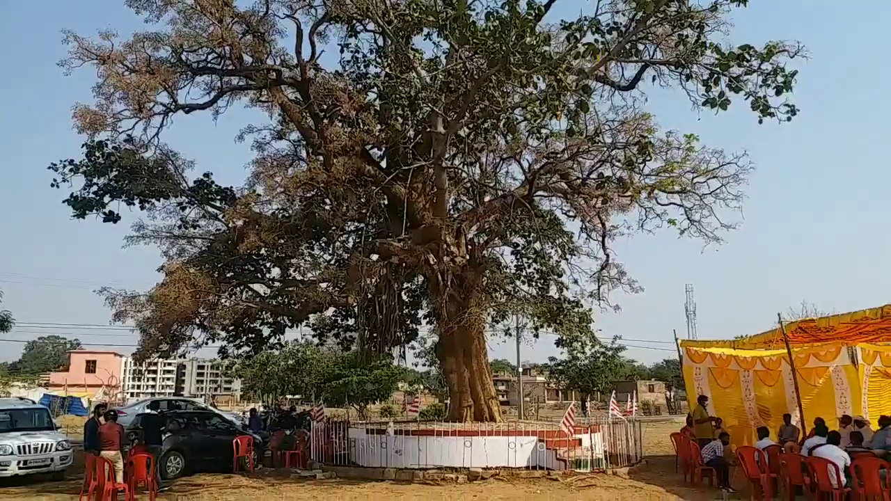 pahan worshiped at Sarna Sthal