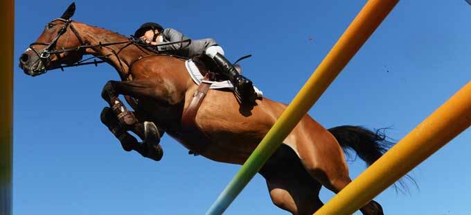 Horse exercisers