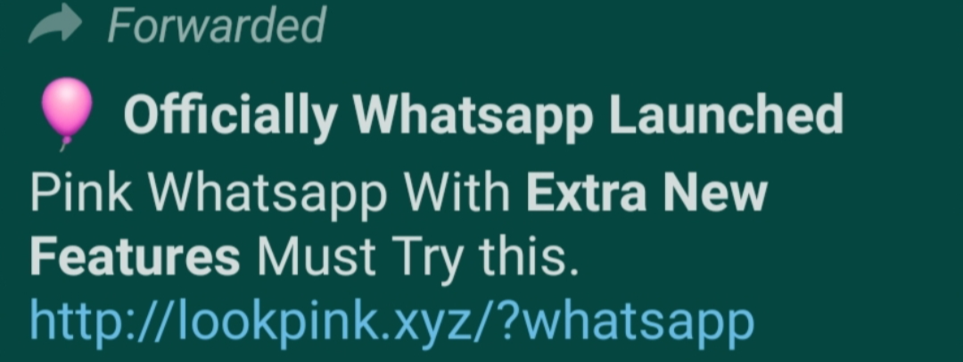 steal people personal data through link of Pink WhatsApp