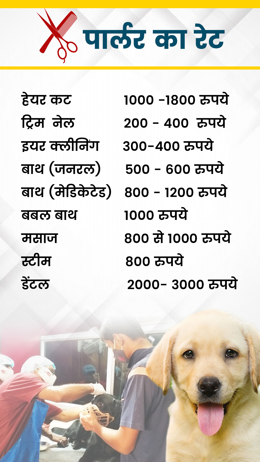 beauty parlour for dogs in patna