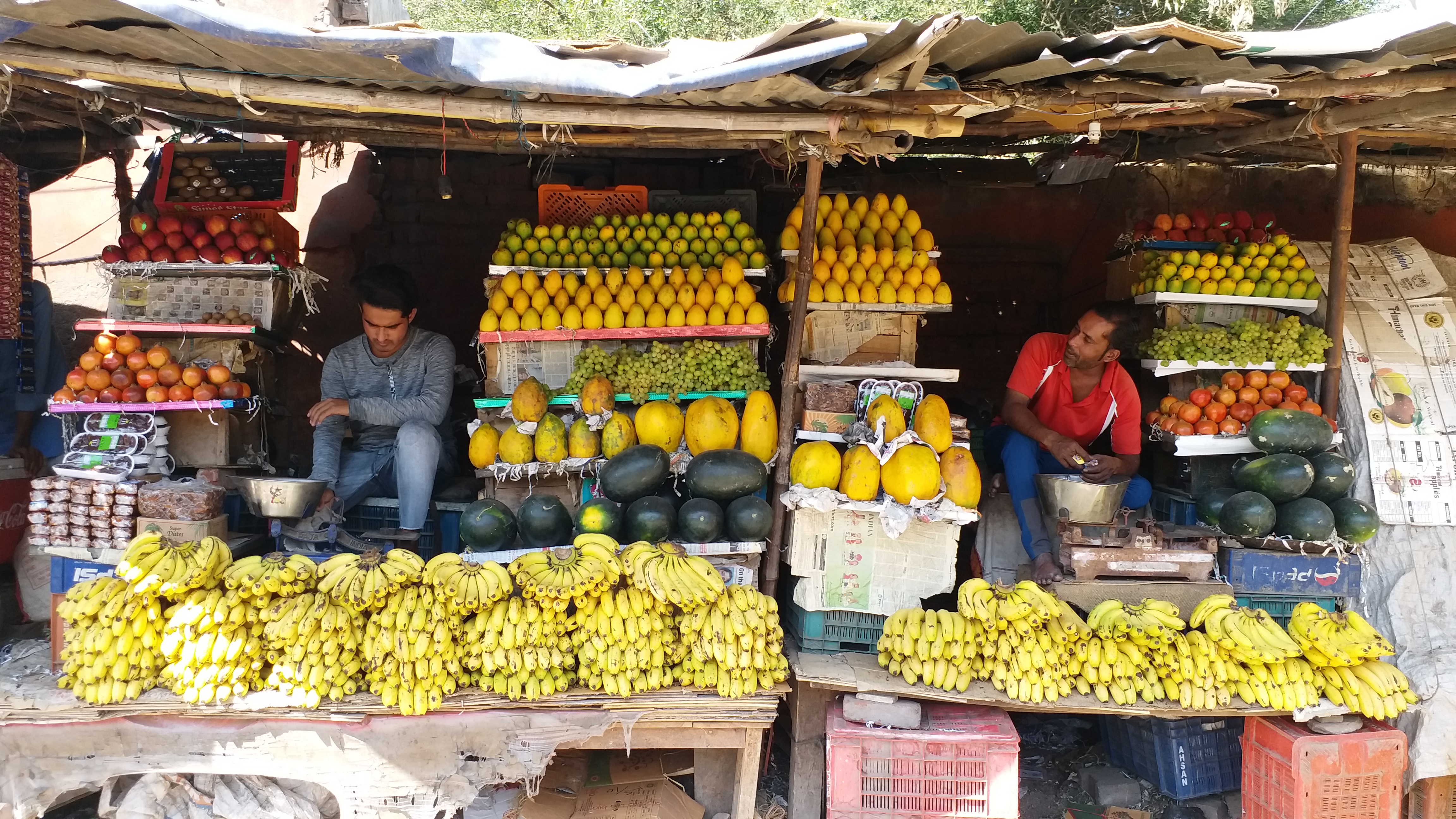 eating-watermelon-is-beneficial-for-health-dr-arvind-kumar