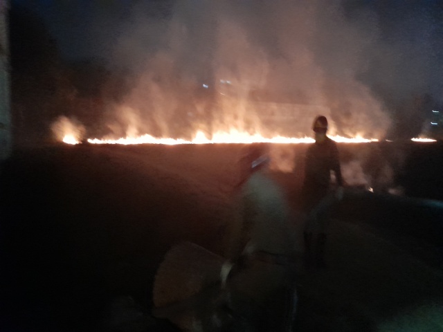 bush fire in jamshedpur