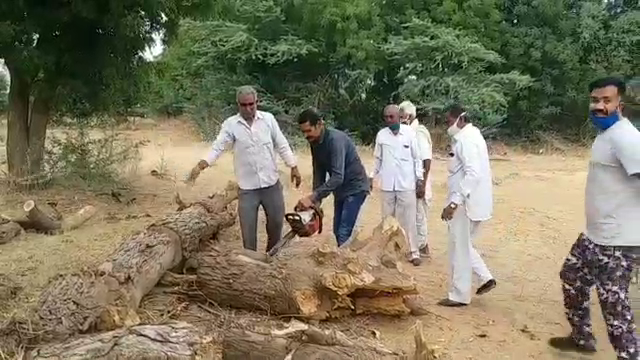 शेर सिंह पहुंचाने लगे निशुल्क लकड़ियां, sher singh started transporting woods