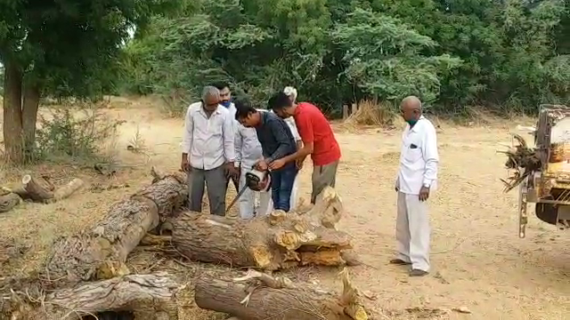 शेर सिंह पहुंचाने लगे निशुल्क लकड़ियां, sher singh started transporting woods