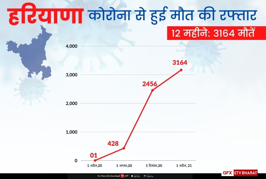 corona virus is more deadly in last thirty days in haryana