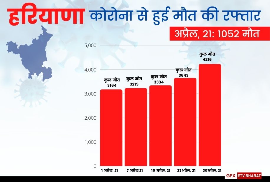 corona virus is more deadly in last thirty days in haryana