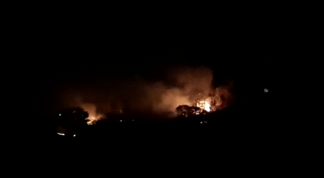 श्यामपुरा जंगल में लगी आग, Shyampura forest fire