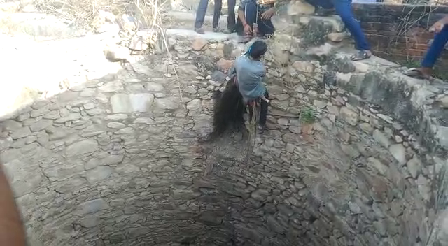 कुएं में गिरे मोर को बजरंग दल ने निकाला बाहर, Bajrang Dal took out the peacock that fell in well