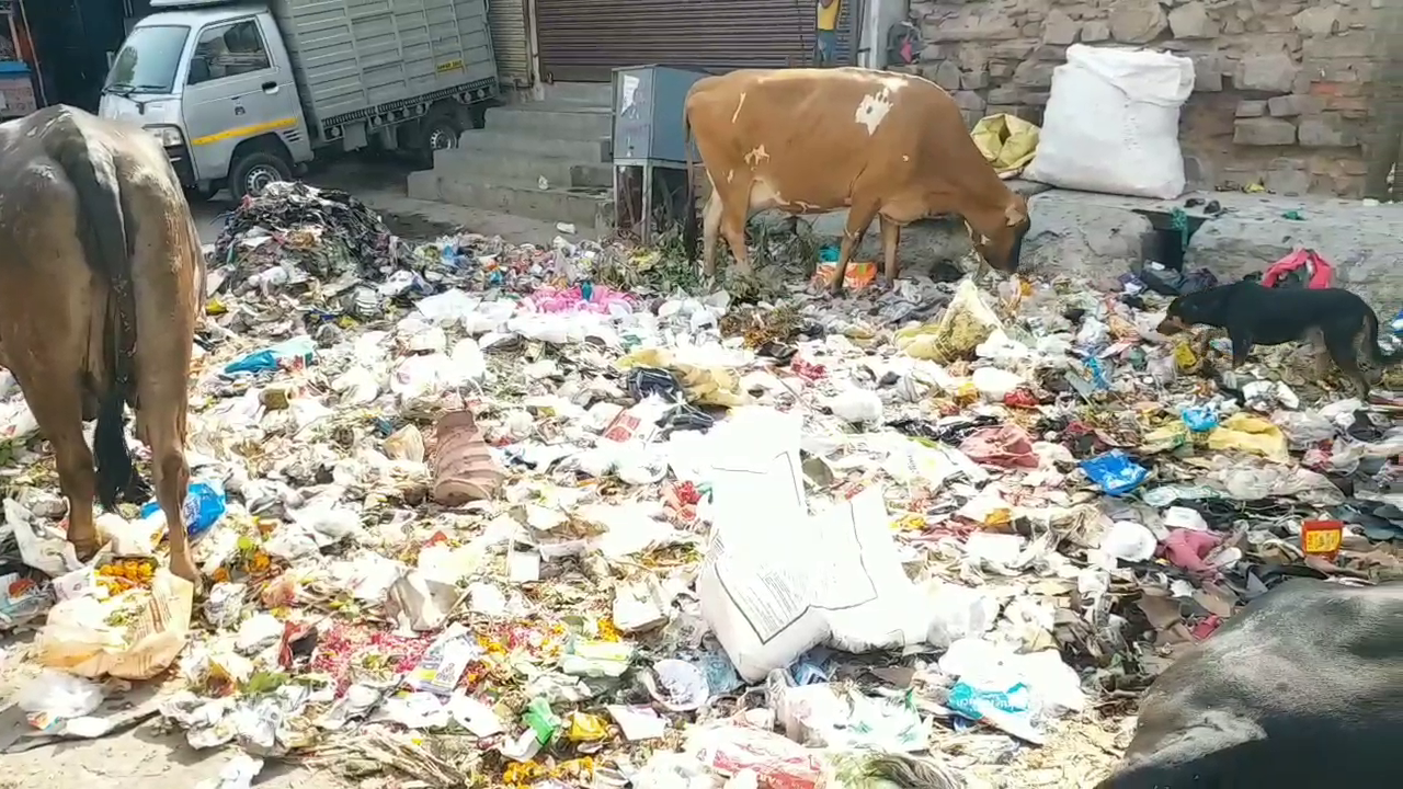 बायो मेडिकल वेस्ट, Bio Medical Waste