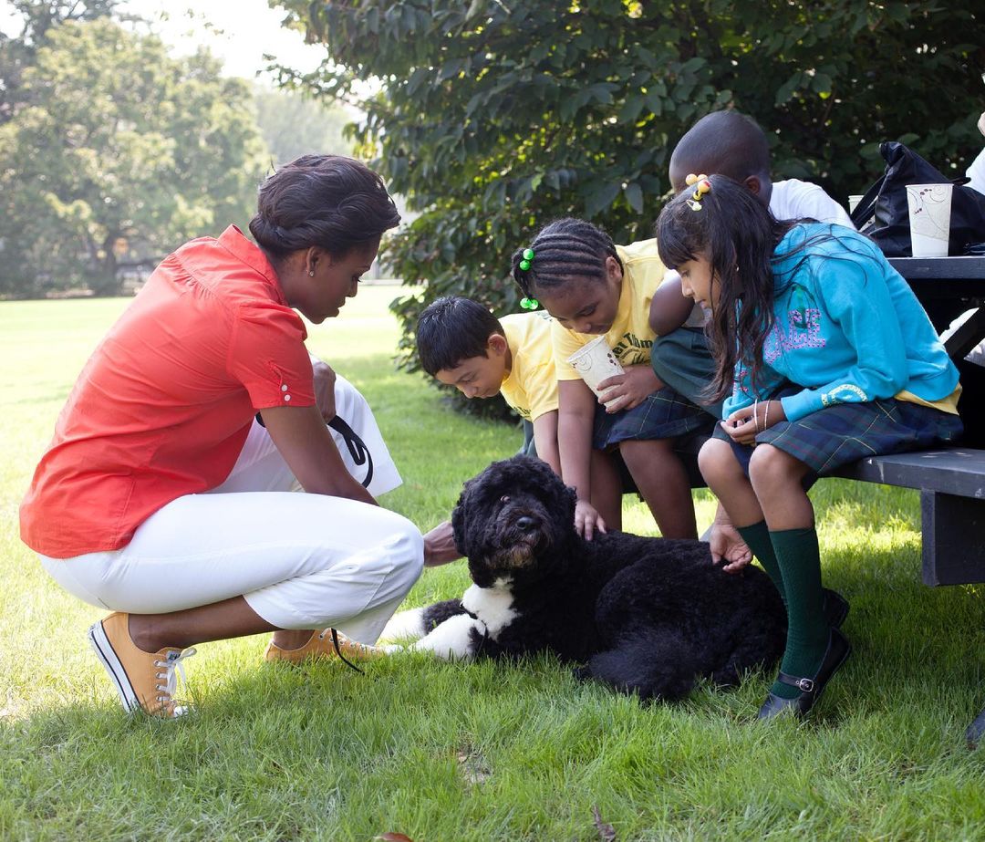 Obama dog Bo dies from cancer