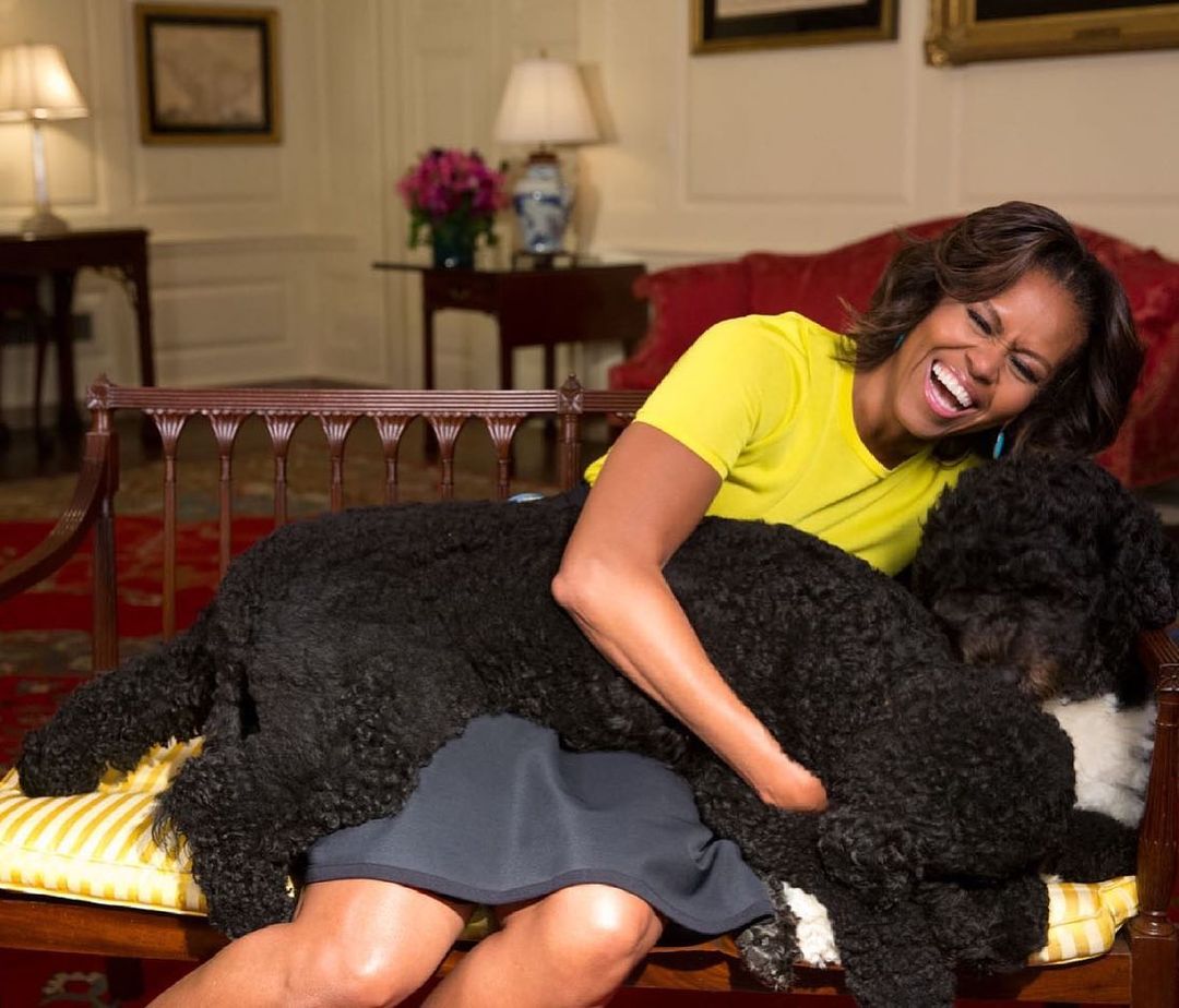 Obama dog Bo dies from cancer