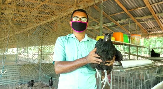 heart-shaped twin egg of a black hen