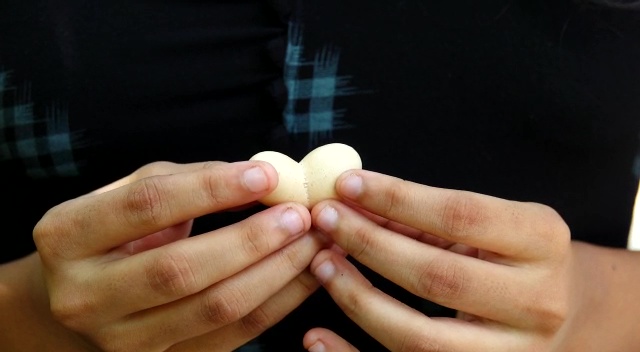 heart-shaped twin egg of a black hen