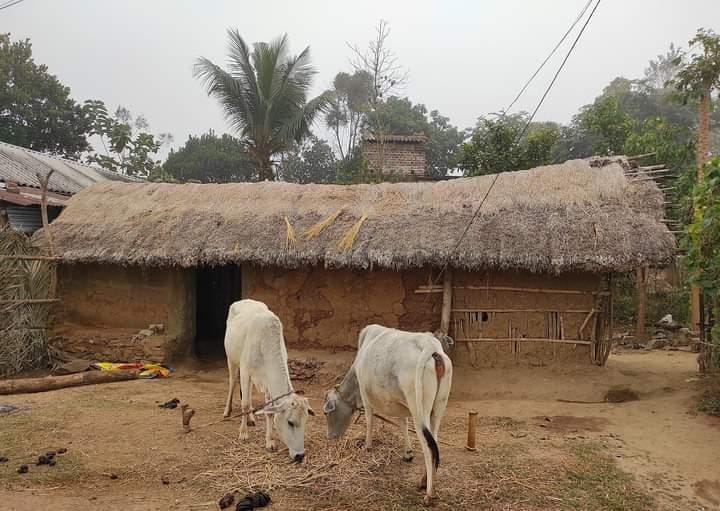 জঙ্গলমহলে মমতা-রাজ