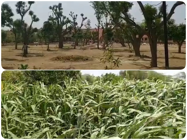 indira gandhi nahar pariyojana in bikaner