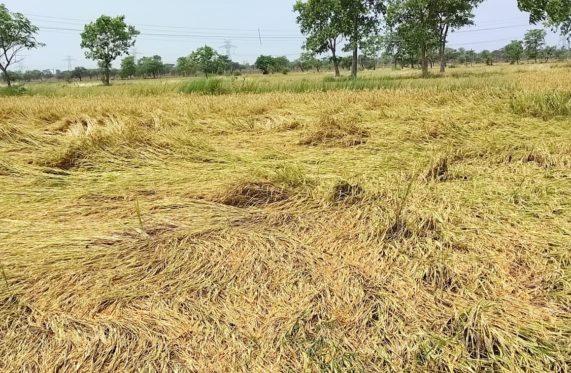 rain in chhattisgarh