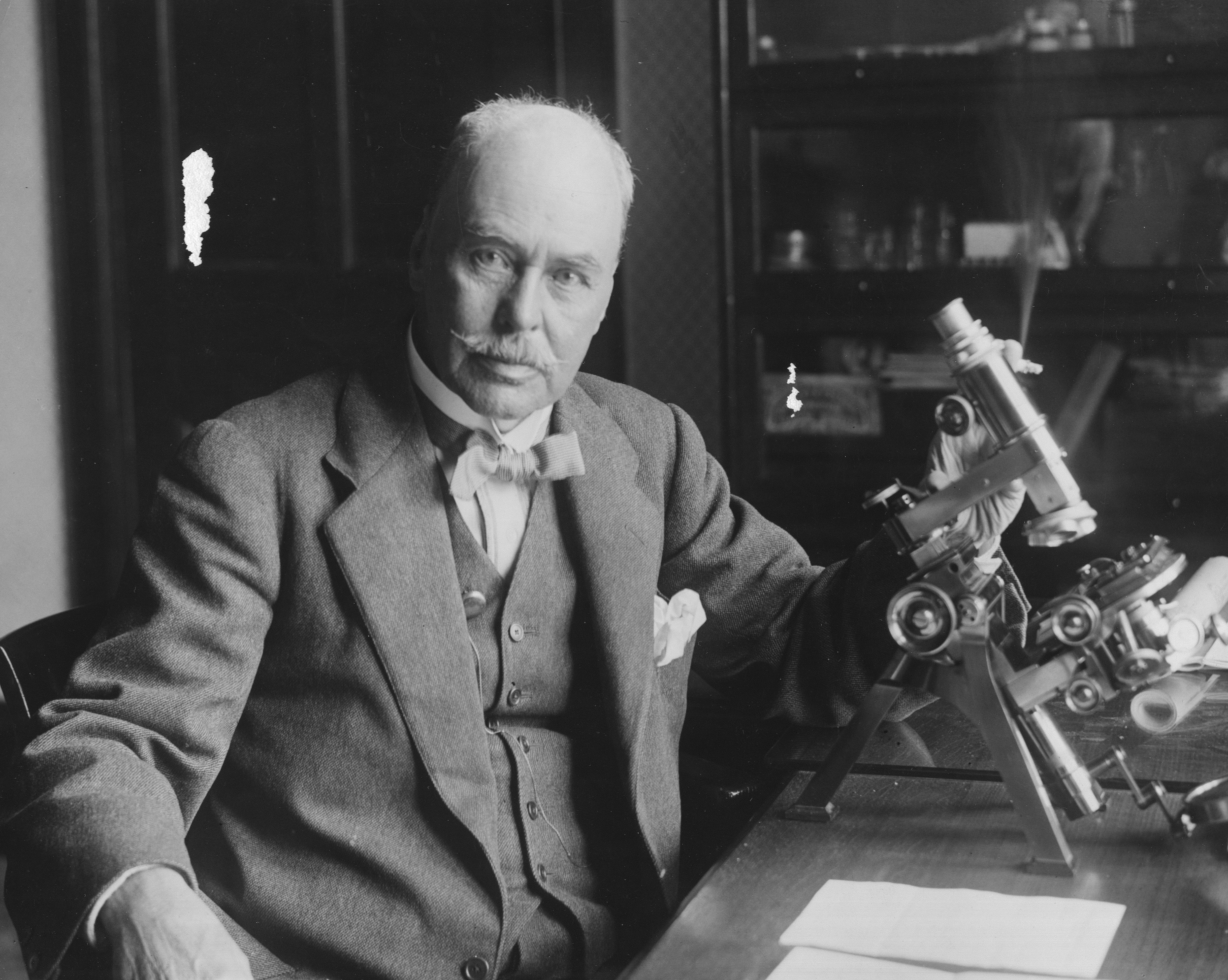 Sir Ronald Ross, Medicine