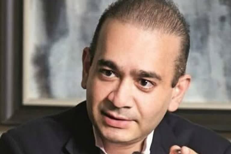 nirav modi