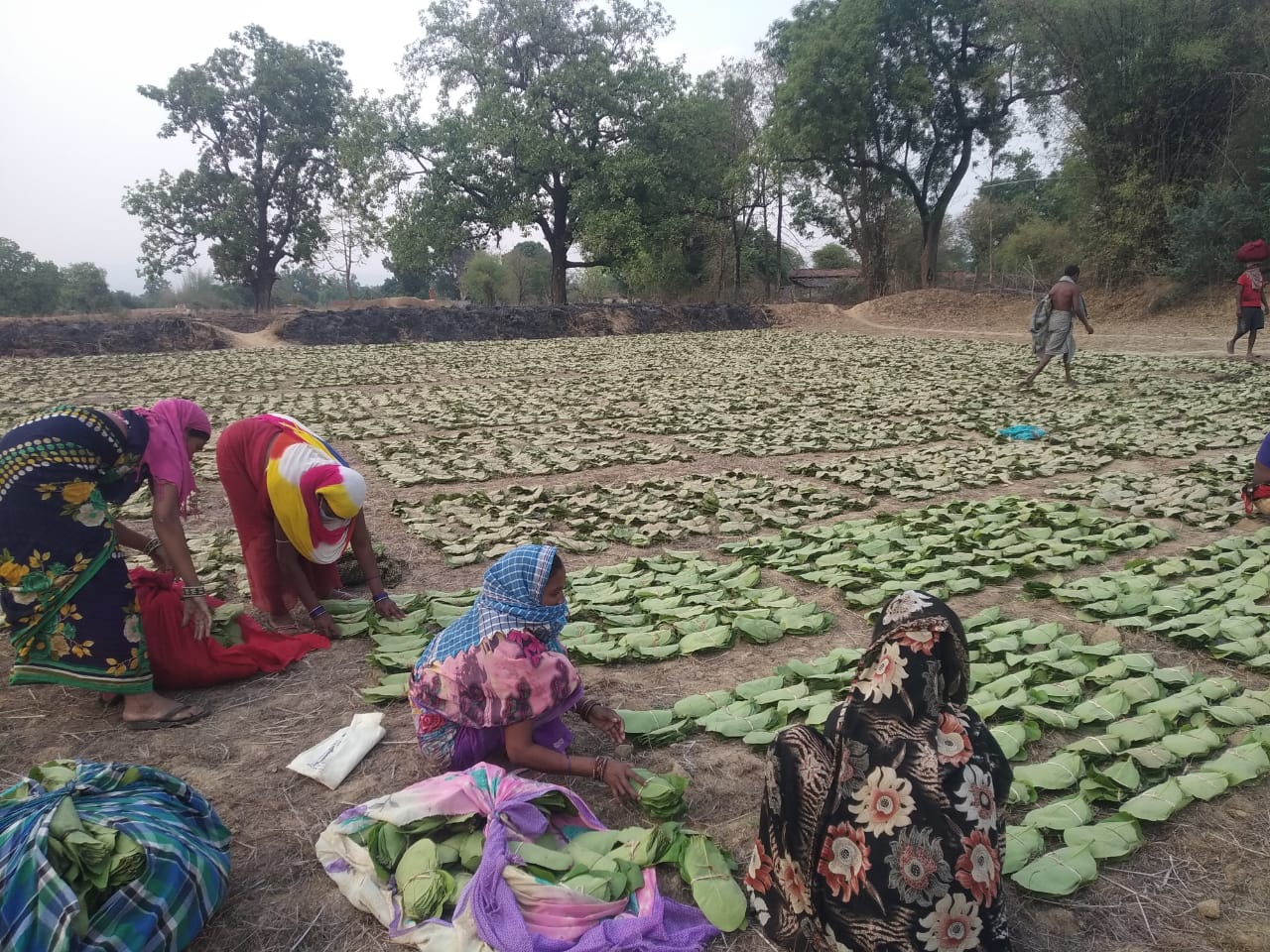 unseasonal rains in Chhattisgarh