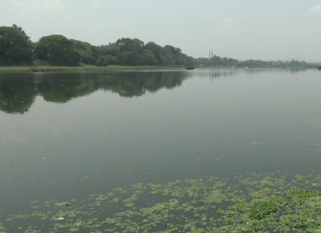 அமராவதி அணையிலிருந்து இன்று தண்ணீர் திறப்பு