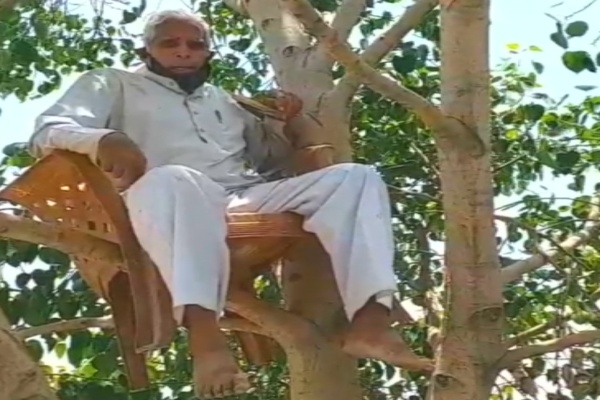 68-yr old man encamps on peepal tree for oxygen in Indore