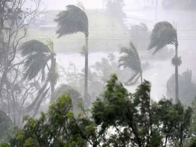 effect of cyclone tauktae in rajsthan