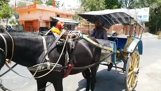 अजमेर के तांगा वाले, Ajmer Tanga