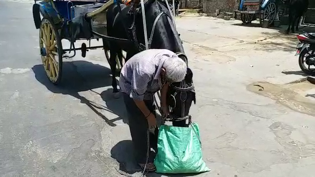 अजमेर के तांगा वाले, Ajmer Tanga