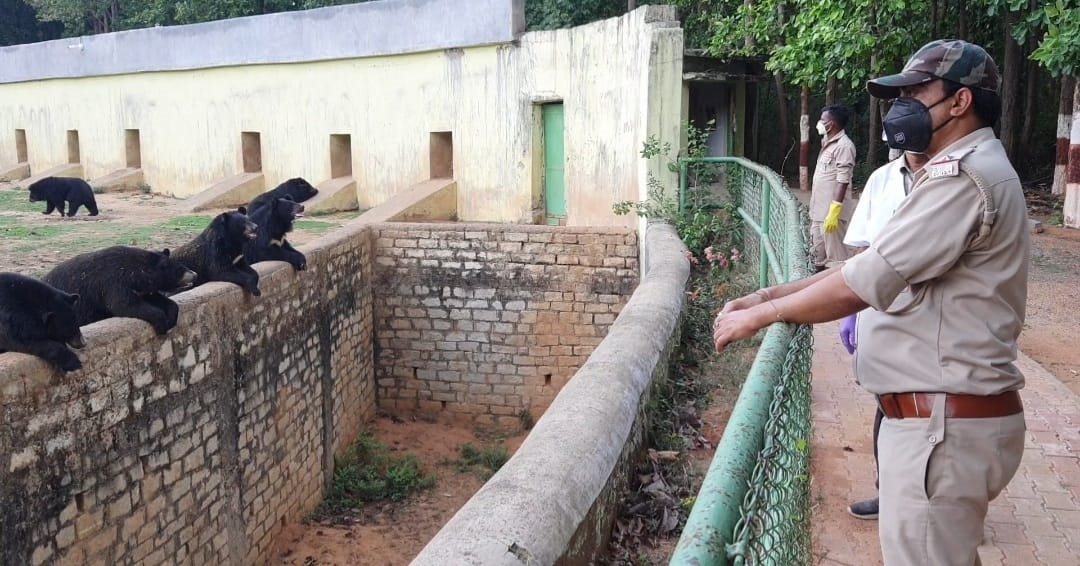 special-care-being-taken-of-animals-in-birsa-munda-biological-park-in-ranchi