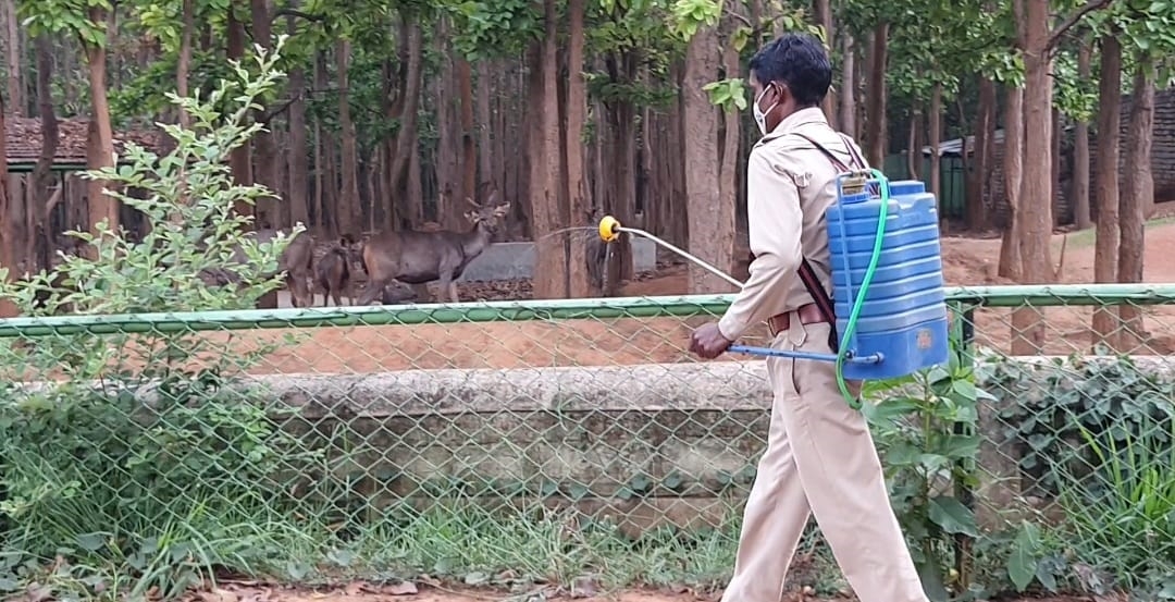 special-care-being-taken-of-animals-in-birsa-munda-biological-park-in-ranchi