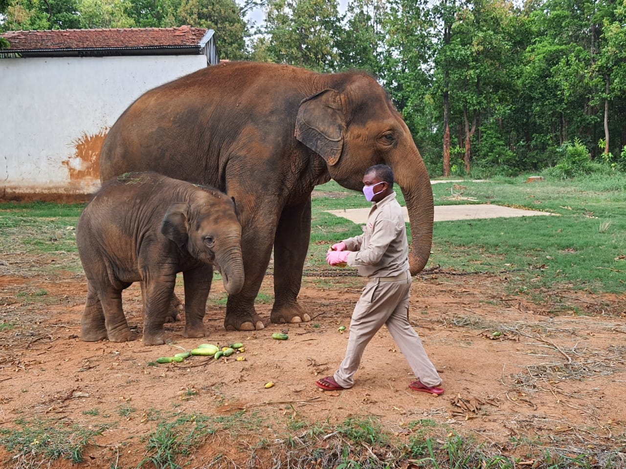 special-care-being-taken-of-animals-in-birsa-munda-biological-park-in-ranchi